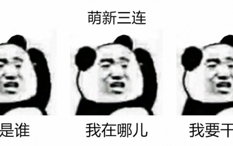 网赚新手最大误区，垃圾流量思维