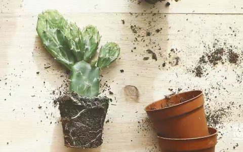 赚钱的三个层次，你在哪一层？