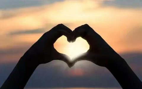 最新网赚冷门也偏门的项目