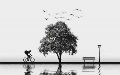 你有多自律，将来就有多自由