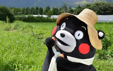 网赚项目：表情包项目之抖音表情包的流量变现模式