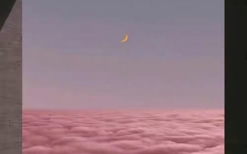 蜂蜜甜的腻人，爱情甜的上头