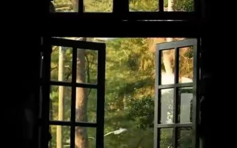 黑龙江科大教室不雅视频疯狂网传，揭示人性