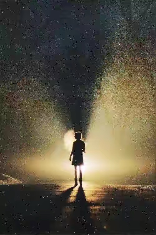 你需要的伴侣