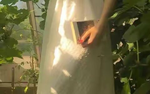 人性最大的丑恶是嫉妒