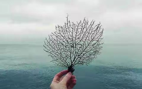 恰到好处的幸福