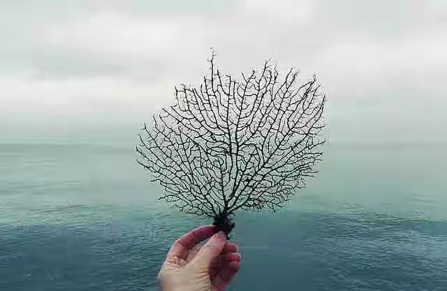 恰到好处的幸福