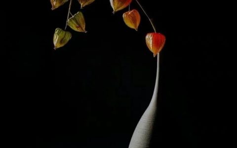 晚上夜不眠，早晨闹不醒